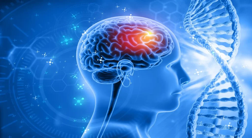Brain Health